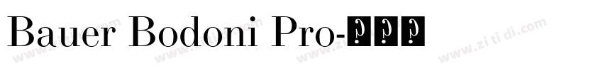 Bauer Bodoni Pro字体转换